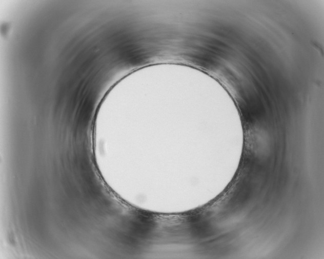 X0000095521150200712140904