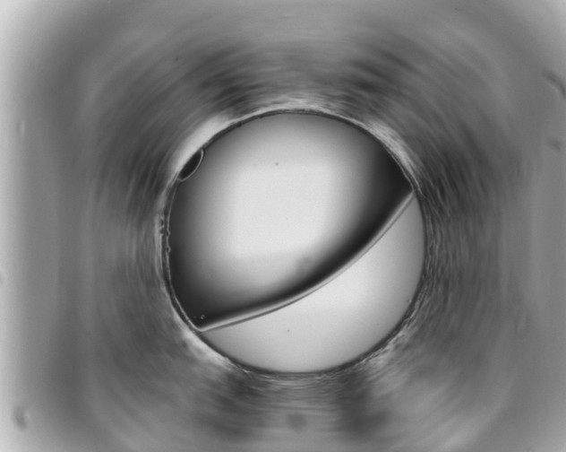 X0000095521151200712140904
