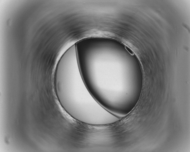 X0000095521152200712140904