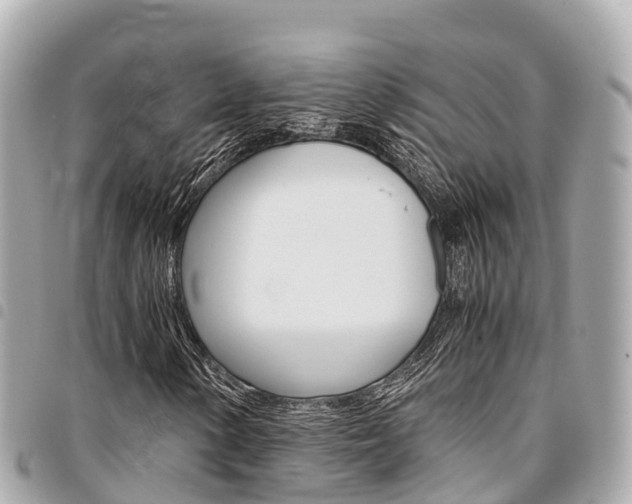 X0000095521154200712140903