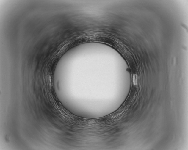 X0000095521155200712140903