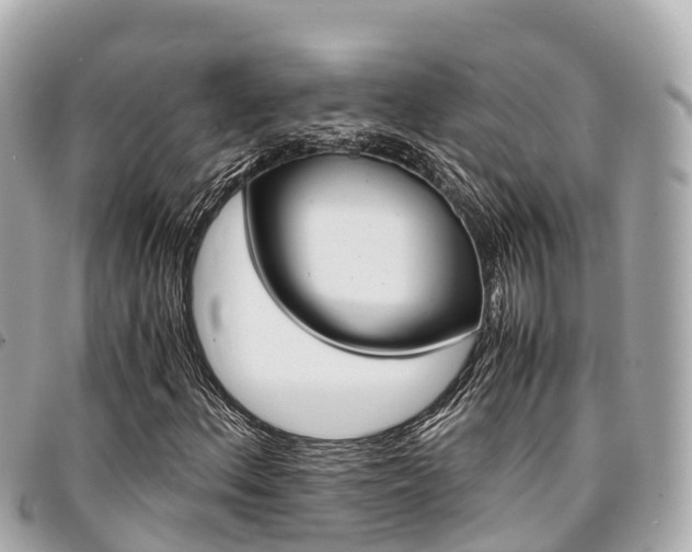 X0000095521156200712140903