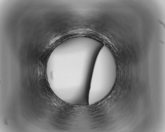X0000095521158200712140903