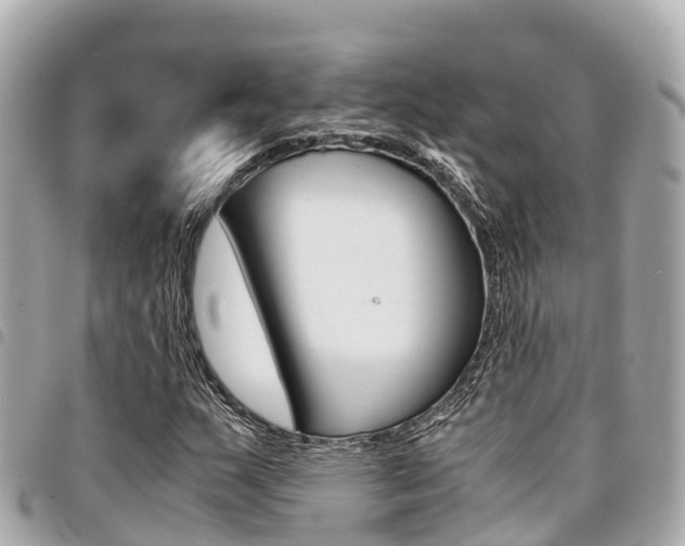 X0000095521159200712140903