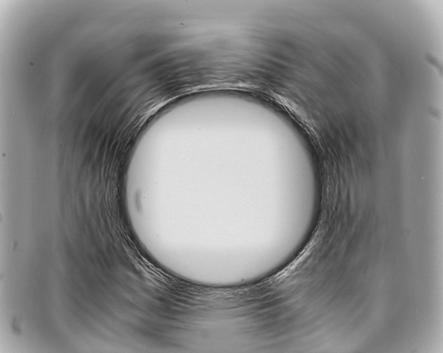 X0000095521161200712140903