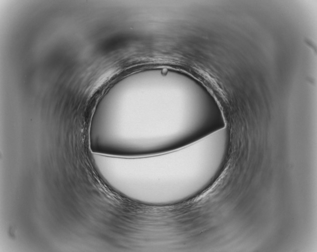 X0000095521163200712140903