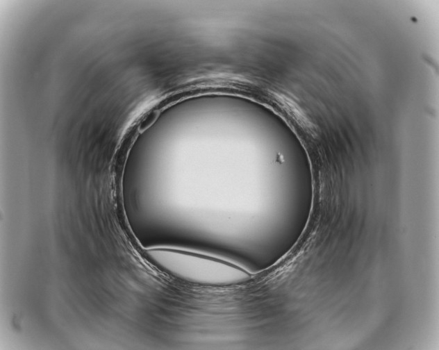 X0000095521164200712140903