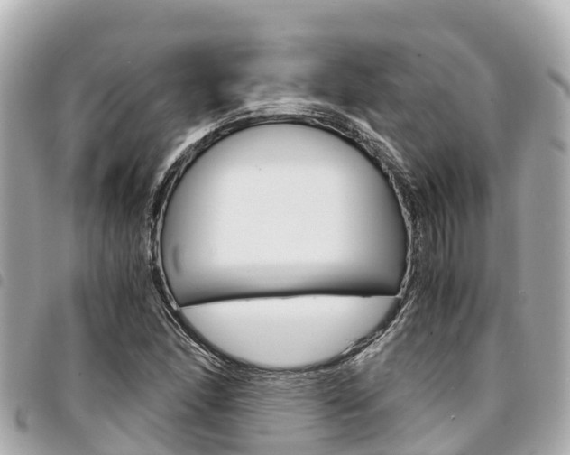 X0000095521166200712140903