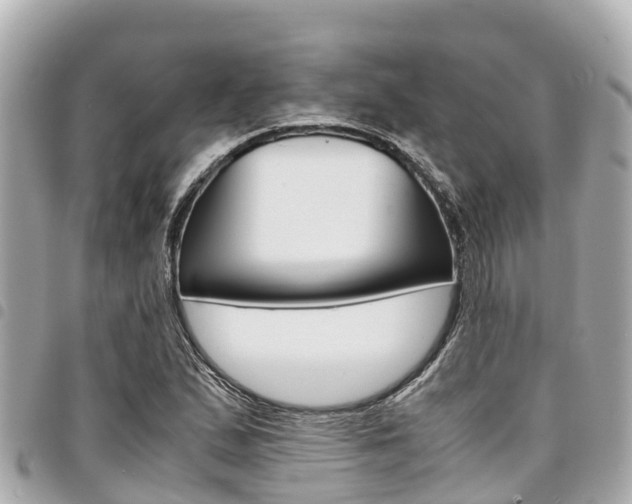 X0000095521167200712140903