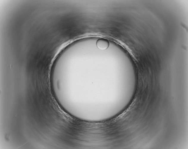 X0000095521168200712140903