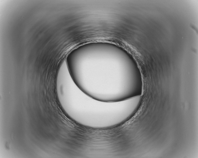 X0000095521169200712140903