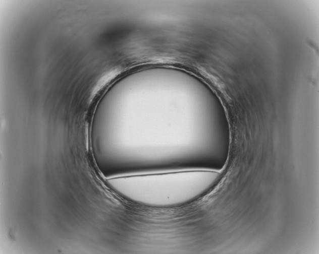 X0000095521171200712140903