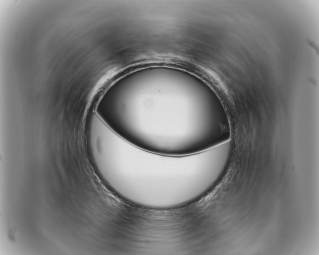 X0000095521172200712140903