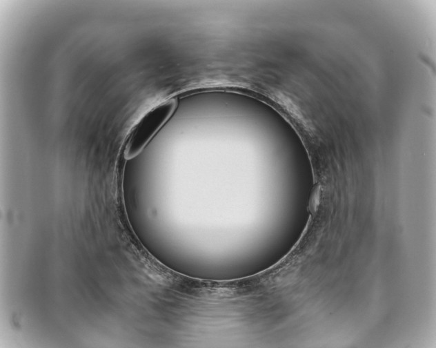 X0000095521173200712140902