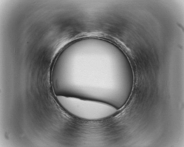 X0000095521174200712140902