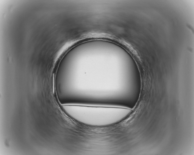 X0000095521175200712140902