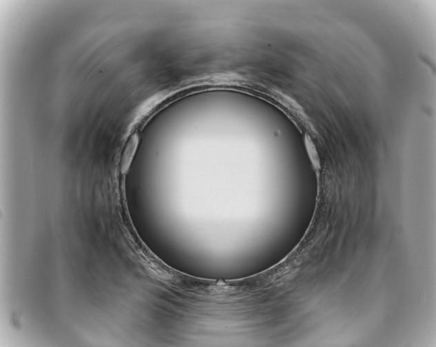 X0000095521176200712140902
