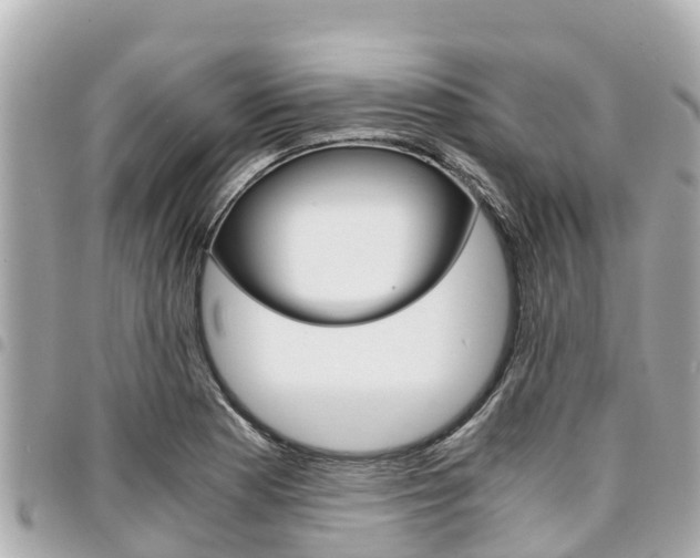 X0000095521177200712140902