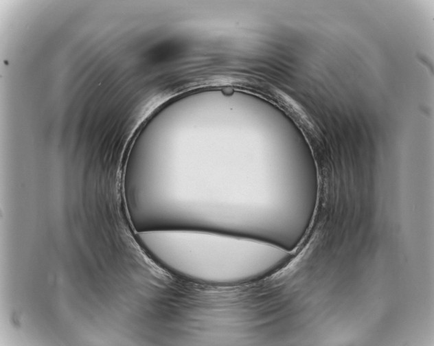 X0000095521178200712140902