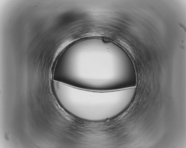 X0000095521179200712140902
