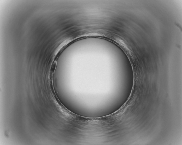 X0000095521181200712140902
