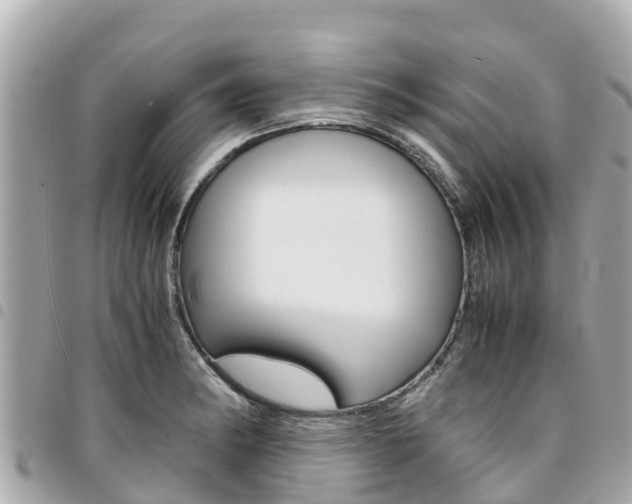 X0000095521182200712140902