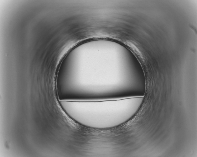 X0000095521183200712140902