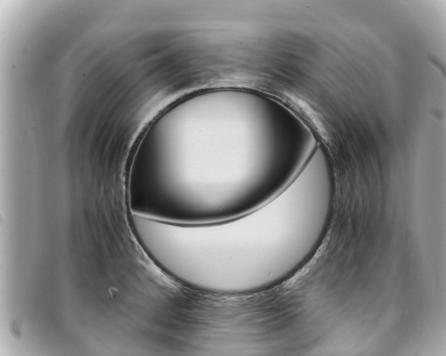 X0000095521184200712140902