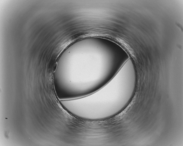 X0000095521185200712140902