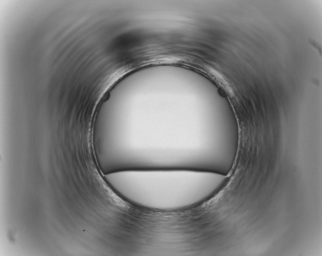 X0000095521186200712140902