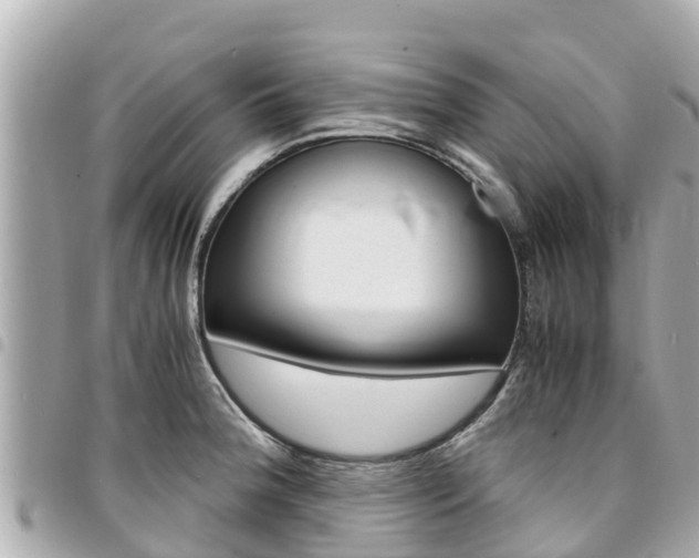 X0000095521188200712140902