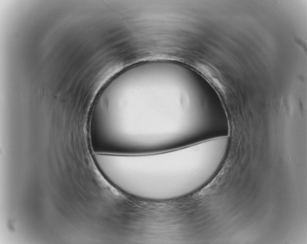 X0000095521189200712140902