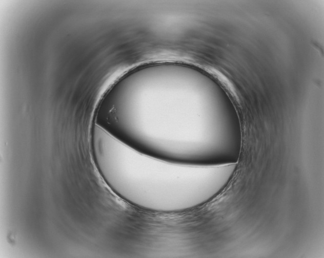 X0000095521191200712140902