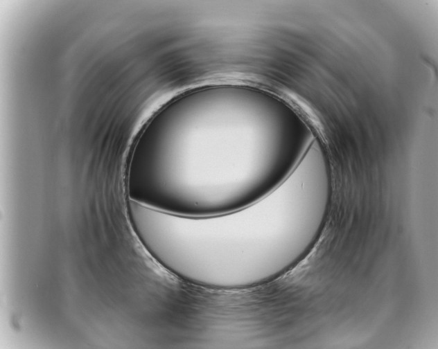 X0000095521192200712140902