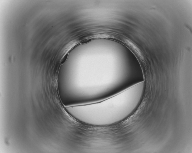 X0000095521193200712140902