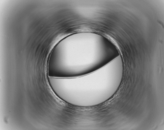 X0000095521195200712140902