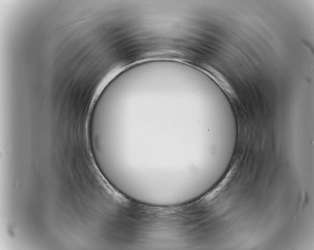X0000095521196200712140902