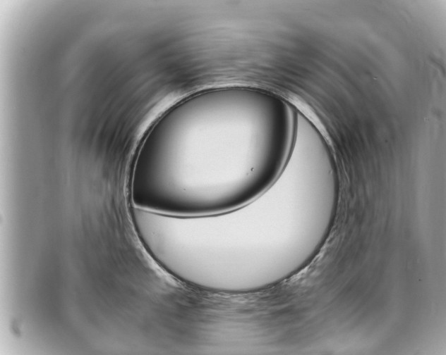 X0000095521197200712140902