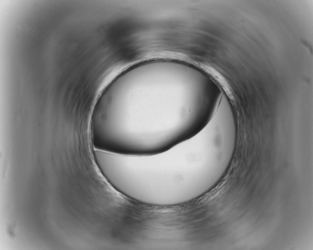 X0000095521199200712140902