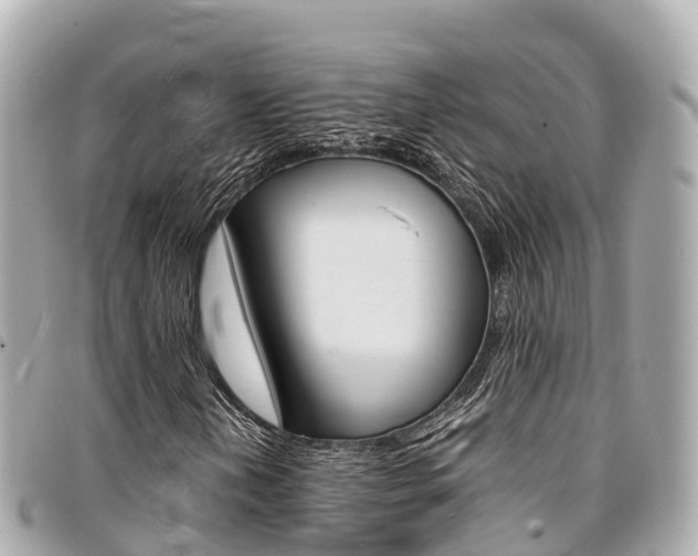 X0000095521202200712140901