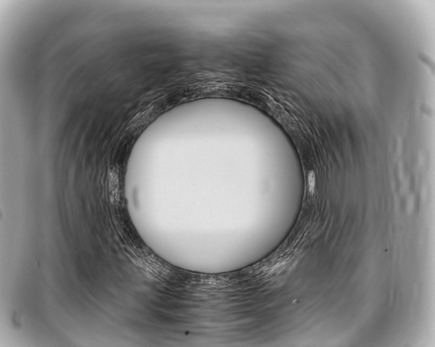X0000095521203200712140901