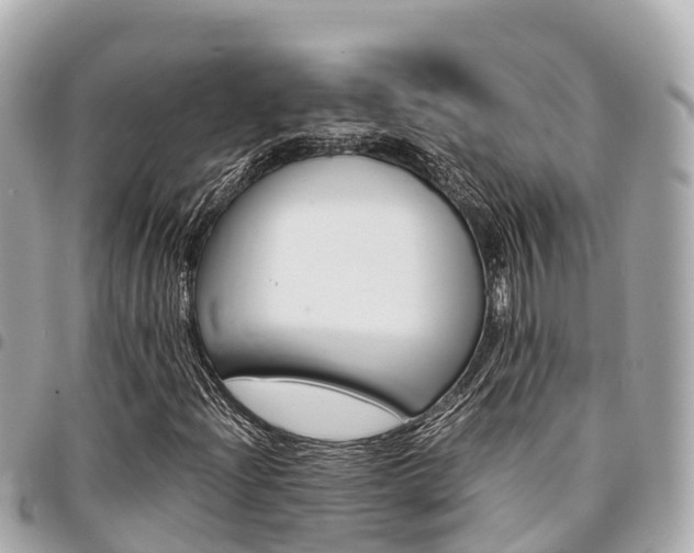 X0000095521204200712140902