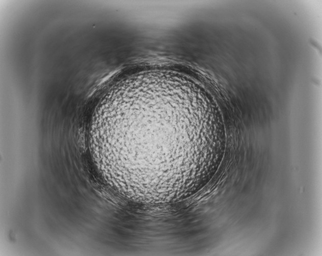 X0000095521205200712140902