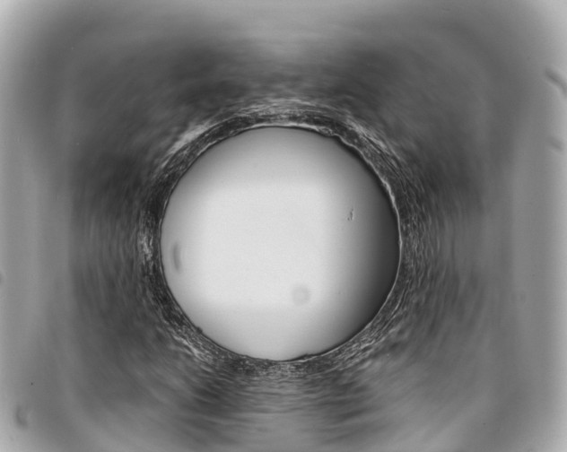 X0000095521206200712140902