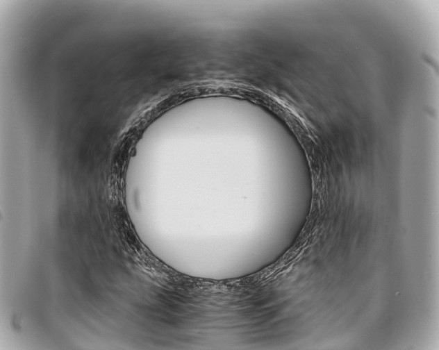 X0000095521207200712140902