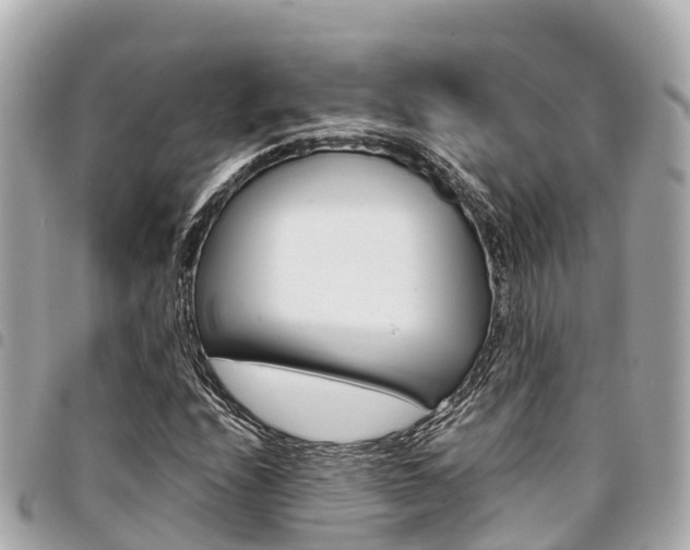 X0000095521208200712140902