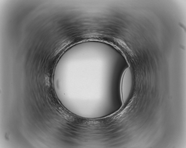 X0000095521209200712140902