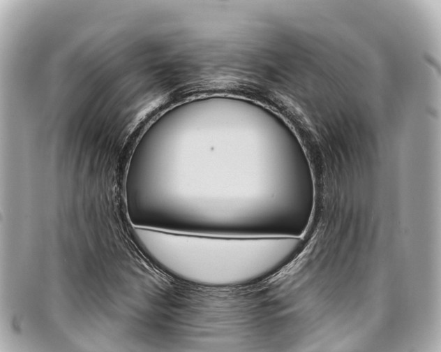 X0000095521210200712140902