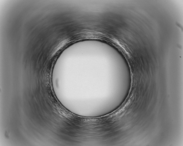 X0000095521211200712140902