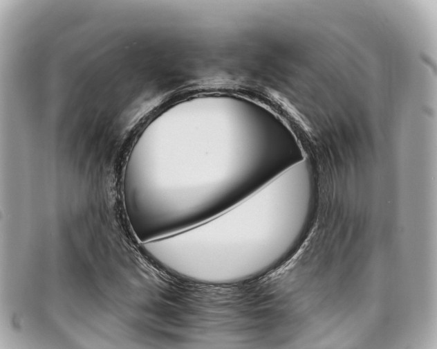X0000095521213200712140902